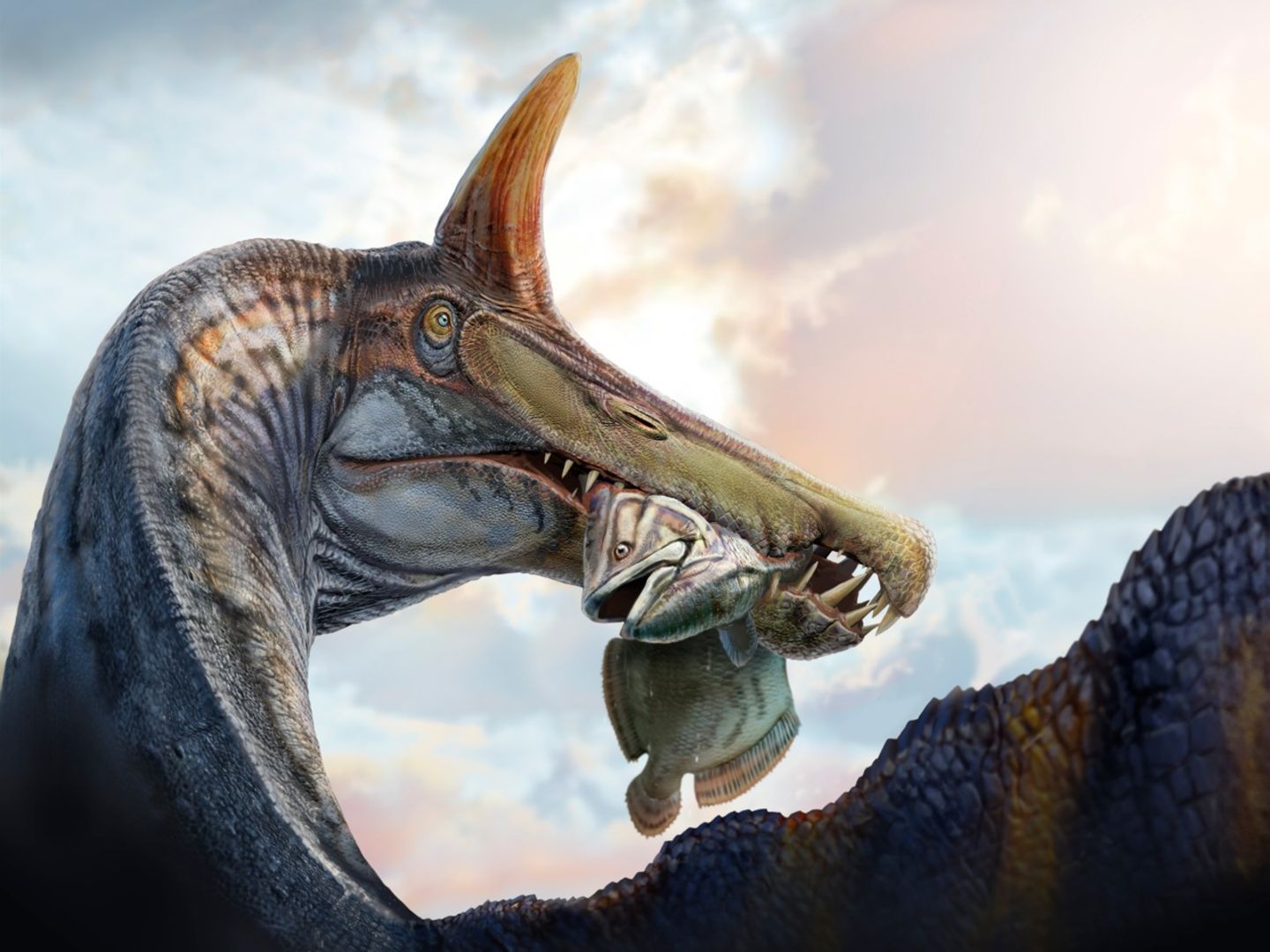 Der Dinosaurier Spinosaurus mirabilis beim Verzehr eines Quastenflossers