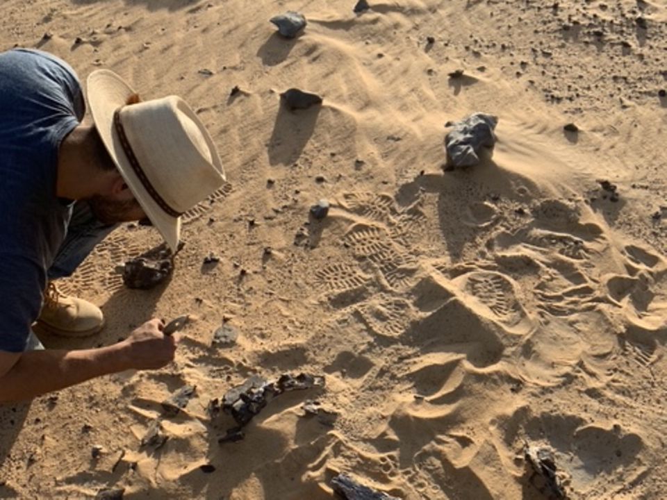 Paläontologe Dan Vidal untersucht Fossilien im Wüstensand