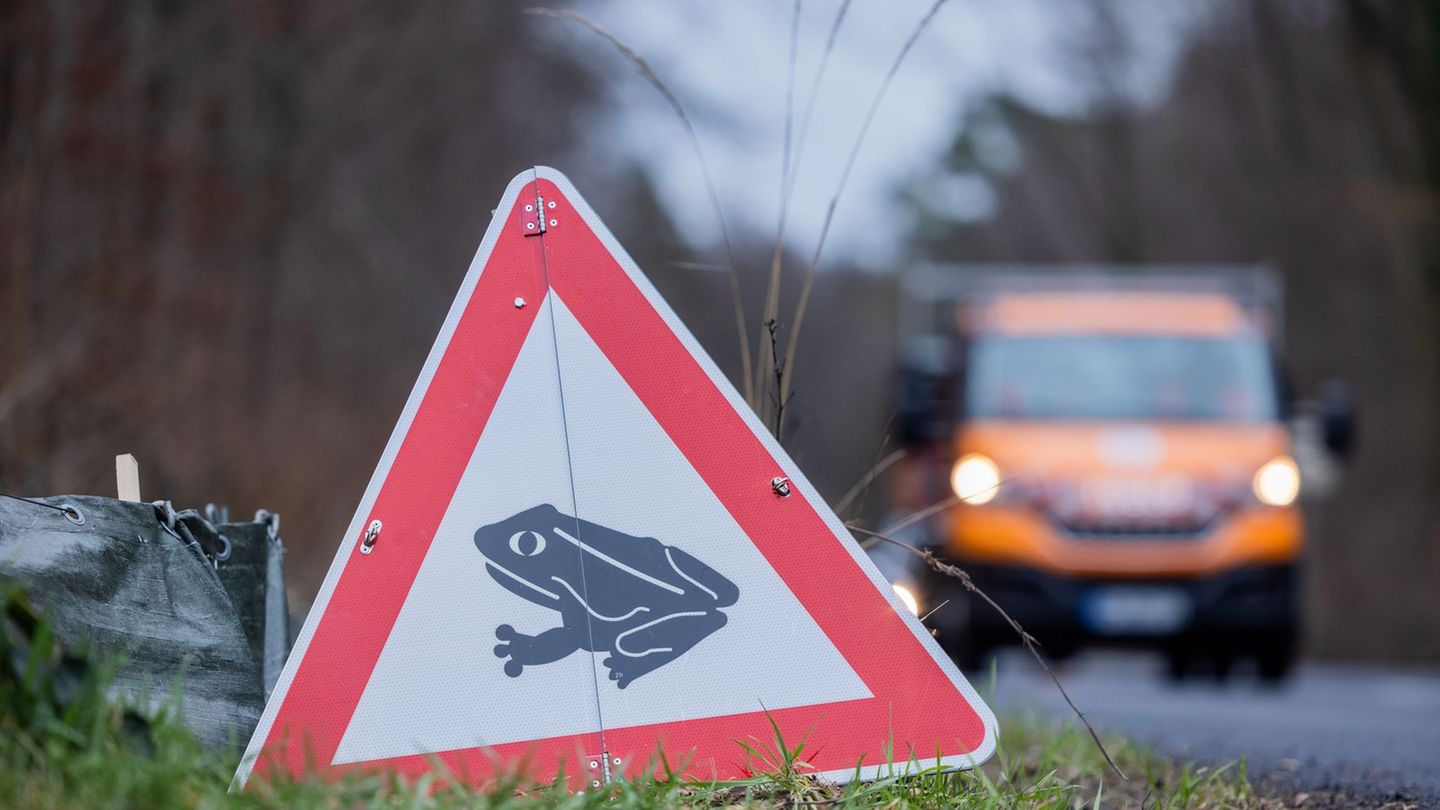 Wenn es im Frühjahr wärmer wird, machen sich etwa Frösche auf zu ihren Laichgewässern. (Archivbild/Illustration) Foto: Rolf Venn