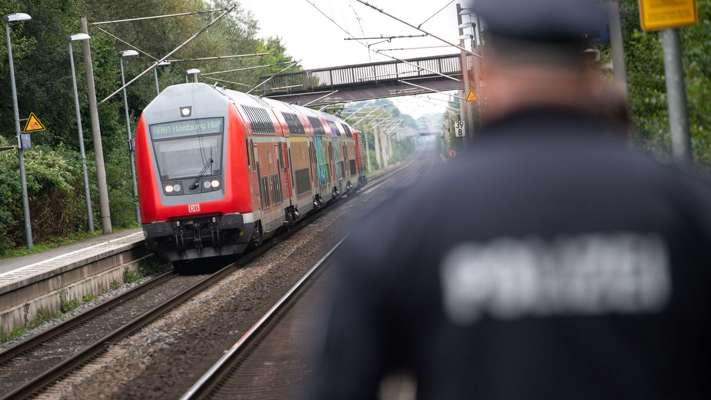 Ein Mann hat in einem Regionalzug einen Zugbegleiter angegriffen. (Symbolbild) Foto: Jonas Walzberg/dpa