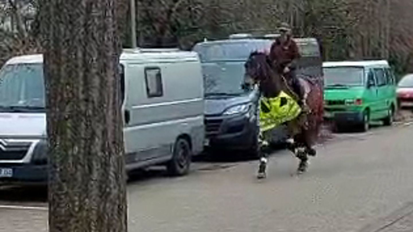 Das Pferd war im Trab so schnell, dass der Blitzer auslöste. Foto: Judith Herzog/dpa