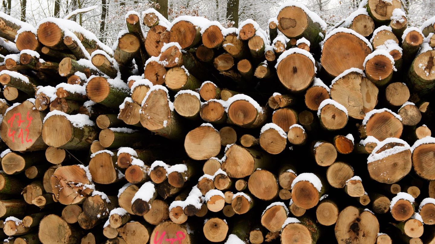 Der Hersteller von Holzbearbeitungsmaschinen Weinig leidet unter der Wirtschaftsflaute. (Foto Illustration) Foto: Candy Welz/dpa