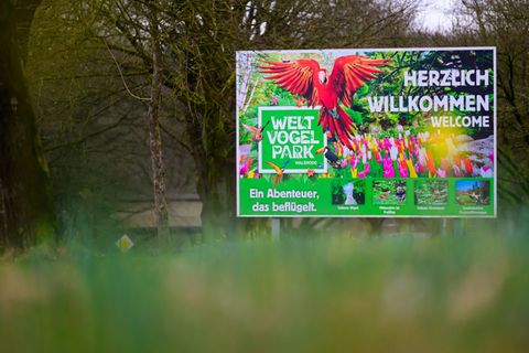 Nach dem Ausbruch der Geflügelpest bleibt der Vogelpark Walsrode vorübergehend geschlossen. (Archivbild) Foto: Philipp Schulze/d
