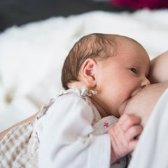 ein baby beim stillen