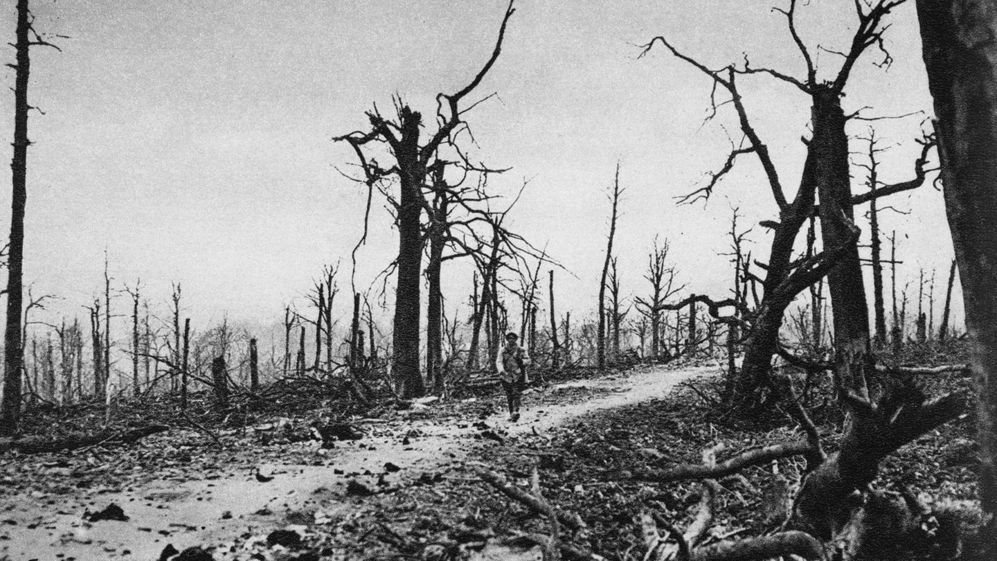 Erster Weltkrieg: Die Schlacht um Verdun