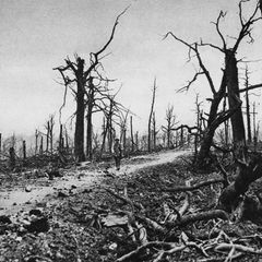 Schlacht bei Verdun, 1916