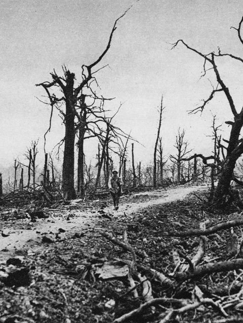 Schlacht bei Verdun, 1916