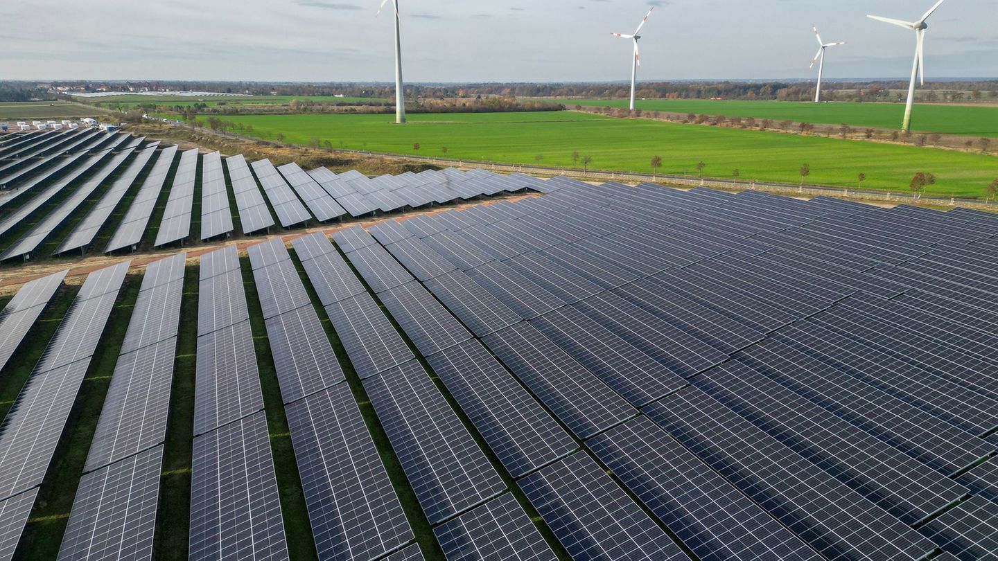 Netzengpässe führen immer wieder zu Abschaltungen oder Drosselung von Wind- und Solaranlagen (Archivbild) Foto: Jan Woitas/dpa