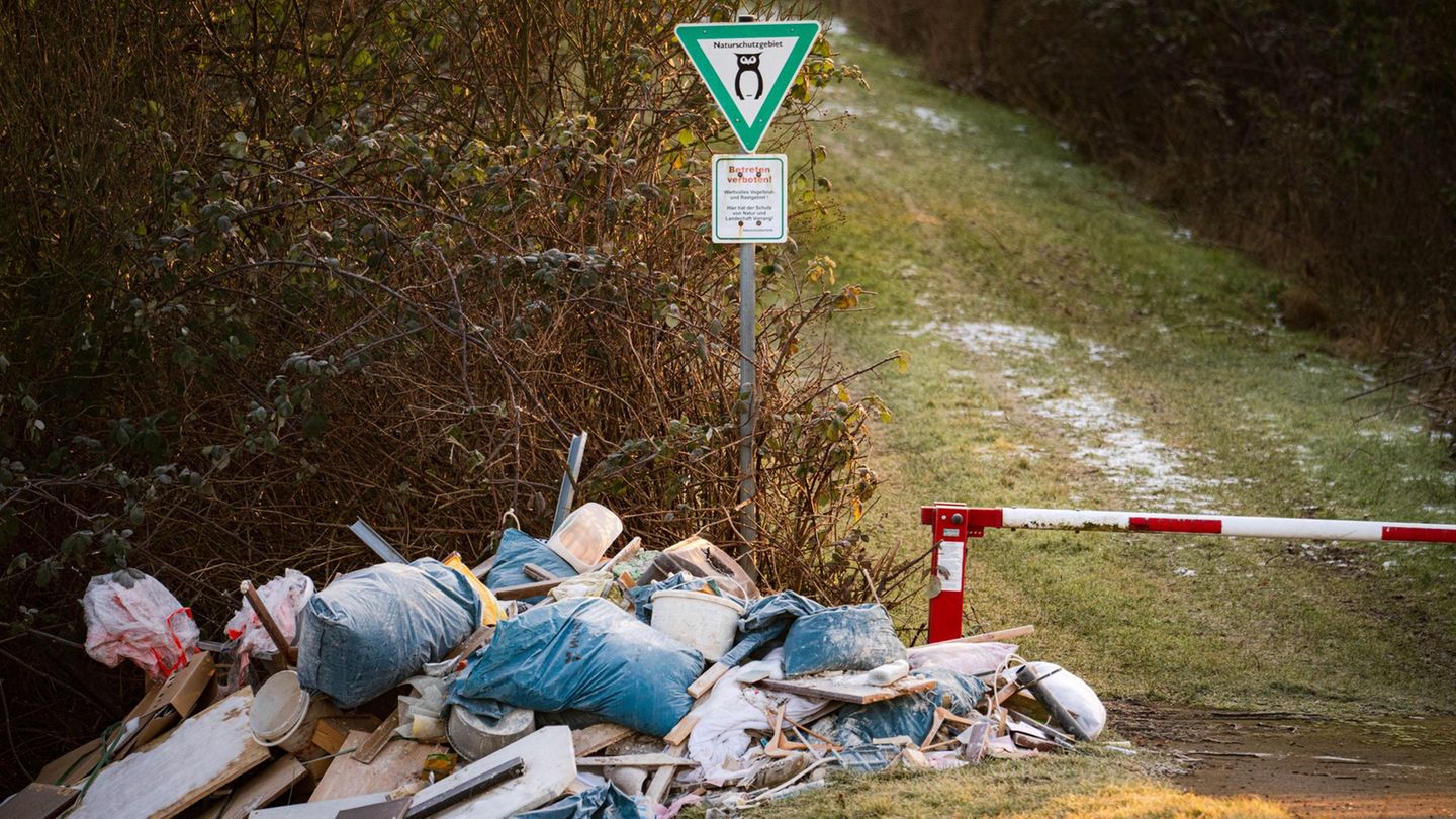 Fast 300.000 Euro hat es die Kommunen im vergangenen Jahr gekostet, illegalen Müll zu entfernen. (Symbolbild) Foto: Sina Schuldt