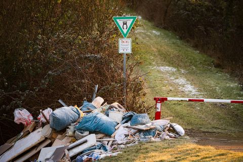 Fast 300.000 Euro hat es die Kommunen im vergangenen Jahr gekostet, illegalen Müll zu entfernen. (Symbolbild) Foto: Sina Schuldt