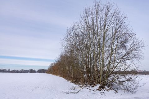 Knicks dürfen noch bis Ende des Monats auf den Stock gesetzt werden. Foto: Ulrich Perrey/dpa