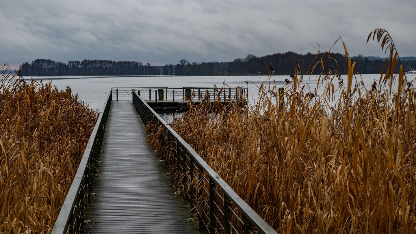Wetter: Milde Temperaturen, kaum Sonne