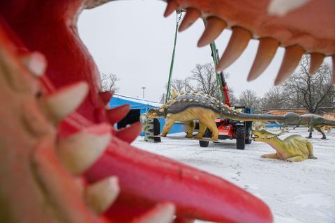 Die Dino-Modelle sind teilweise einige Meter hoch. Foto: Klaus-Dietmar Gabbert/dpa