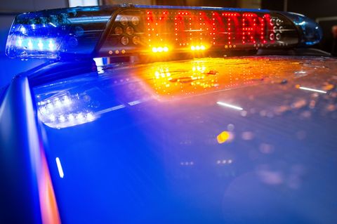 Immer wieder finden in Sachsen-Anhalt europaweit organisierte Kontrollen statt. (Symbolbild) Foto: Jens Büttner/dpa