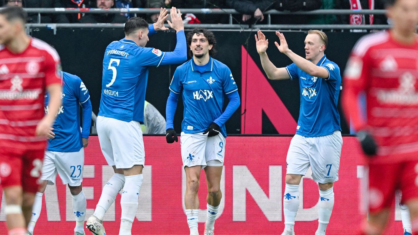 Darmstadt jubelt über das 1:0. Foto: Uwe Anspach/dpa