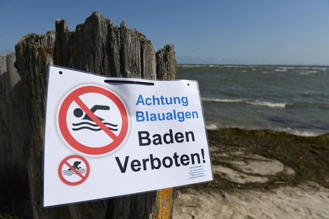 Hohe Nährstoffbelastung und sauerstoffarmes Wasser sind Kennzeichen des schlechten ökologischen Zustands der Ostsee. (Archivbild