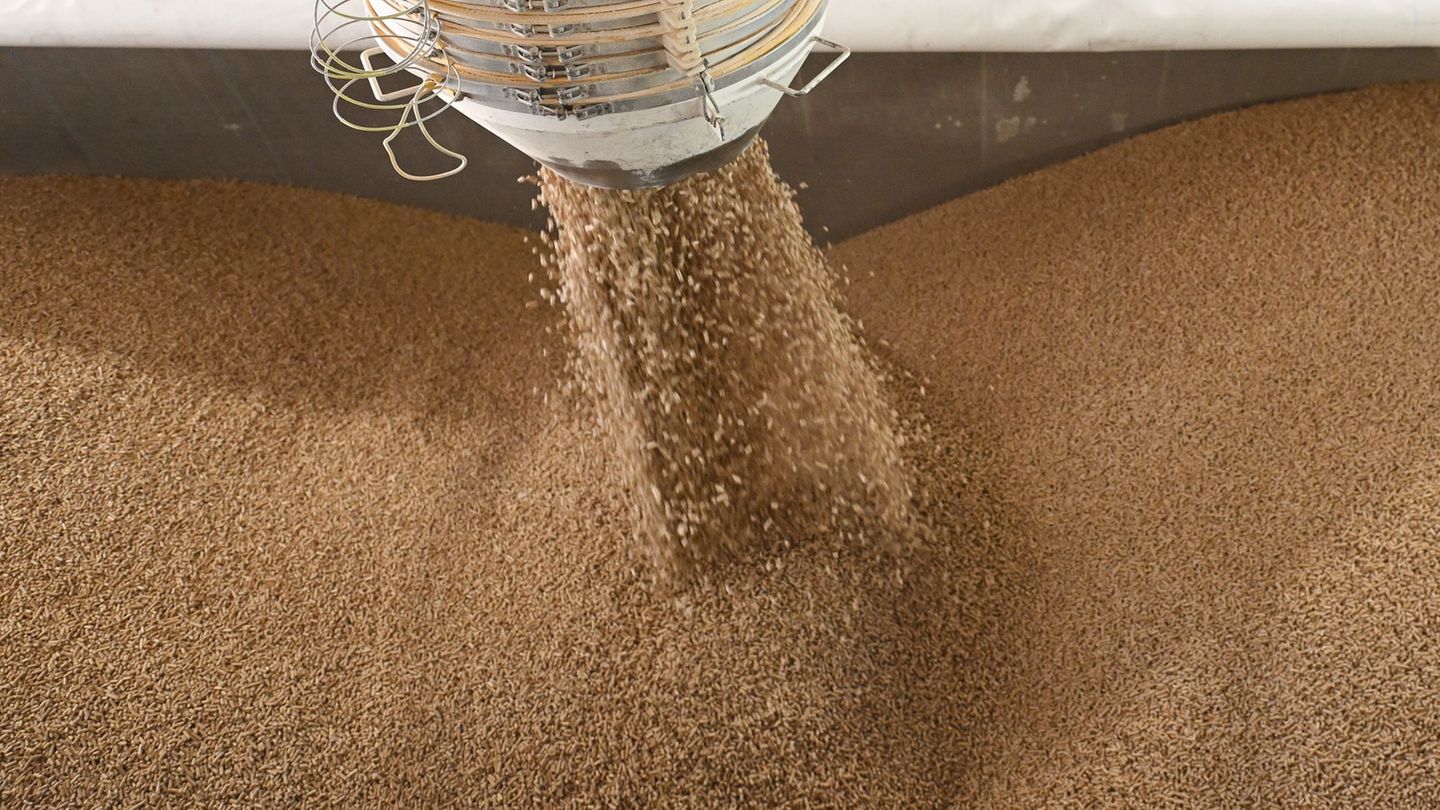 Tonnenweise Pellets sogen sich mit Löschwasser voll. (Symbolbild) Foto: Angelika Warmuth/dpa