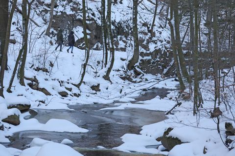 Die Bode entspringt im Harz und fließt unter anderem durch die Magdeburger Börde. Die Ilse fließt im Harz sowie im nördlichen Ha