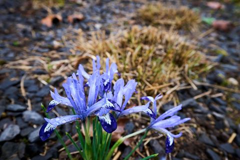 Die Temperaturen klettern in den nächsten Tagen in die Höhe. Foto: Sascha Ditscher/dpa