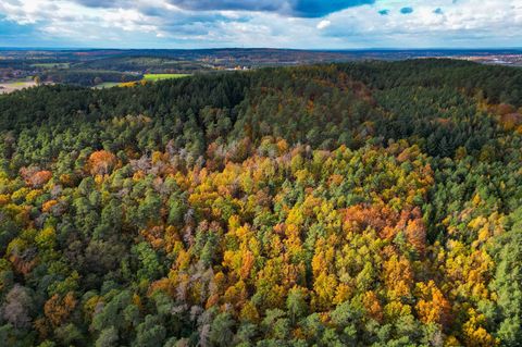 Eine Bürgerinitiative will die Abholzung eines Waldgebietes für ein großes Gewerbe- und Industriegebiet bei Fürstenwalde/Spree v
