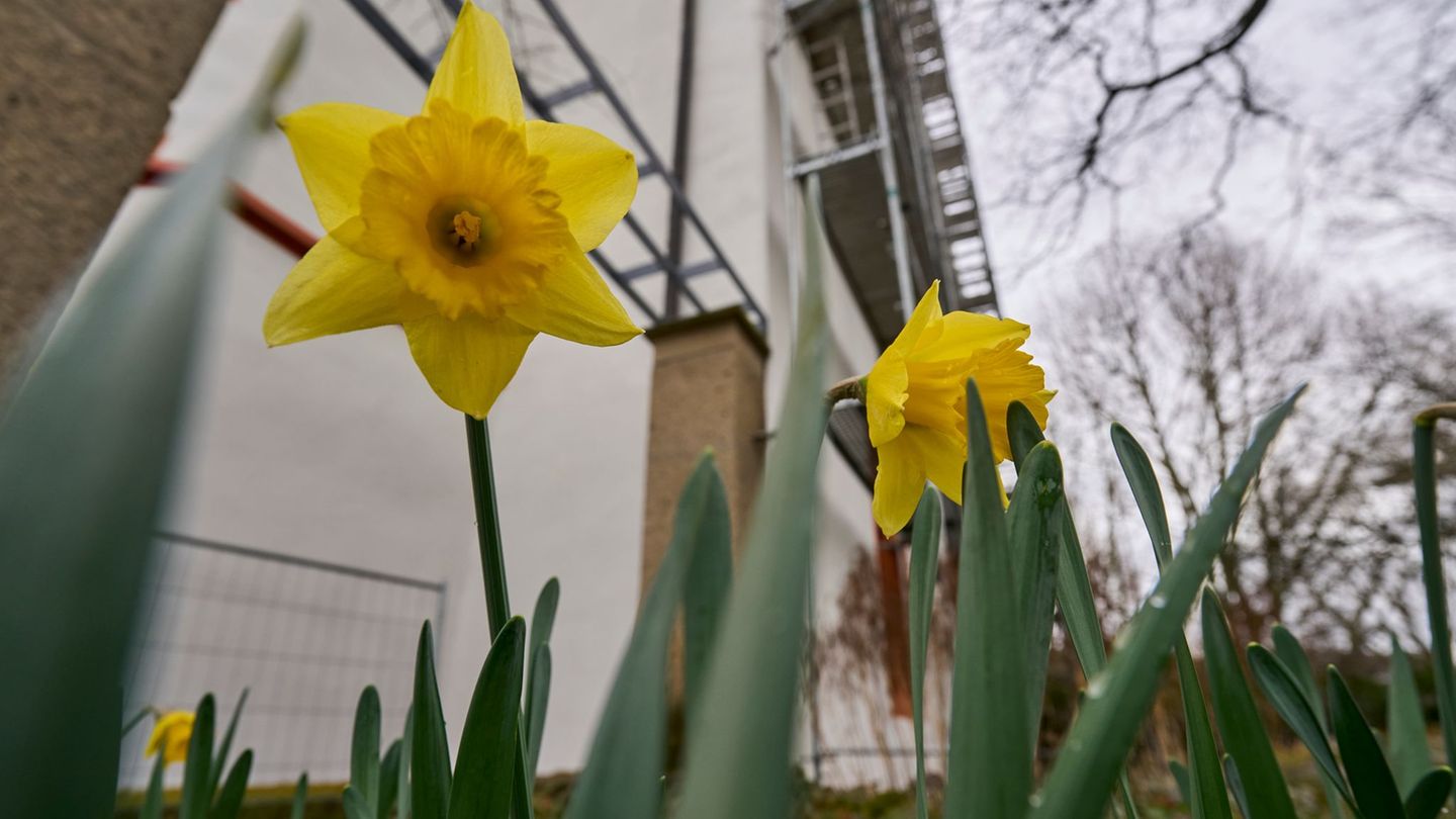Wetter: "Ungewöhnlich mild" – Temperaturen bis zu 18 Grad möglich