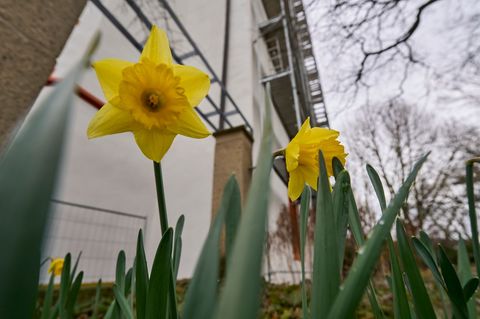 Die Temperaturen könnten bis zu 18 Grad erreichen. Foto: Sascha Ditscher/dpa