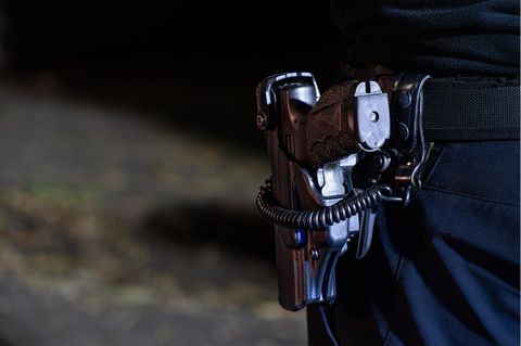 Die Beamten setzten in Celle die Dienstwaffe gegen einen Hund ein (Symbolbild)