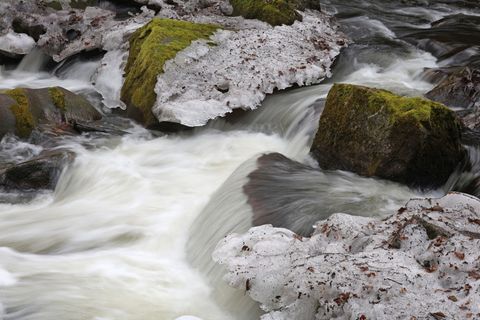 Temperaturen über dem Gefrierpunkt sorgen für Tauwetter in Sachsen-Anhalt. Foto: Matthias Bein/dpa