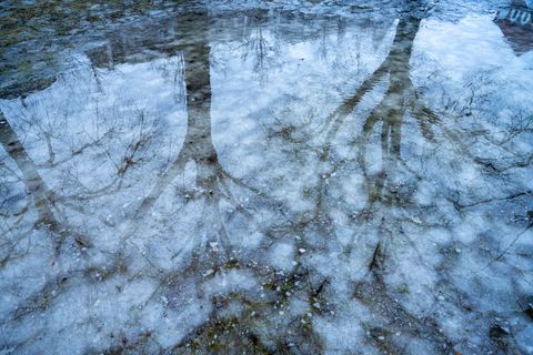Überall im Land tauen Eis und Schnee und sorgen für Überschwemmungen. Foto: Stefan Sauer/dpa