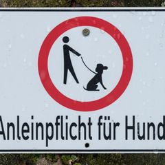 Die Hundebesitzer gerieten handfest aneinander. (Symbolbild) Foto: picture alliance / dpa