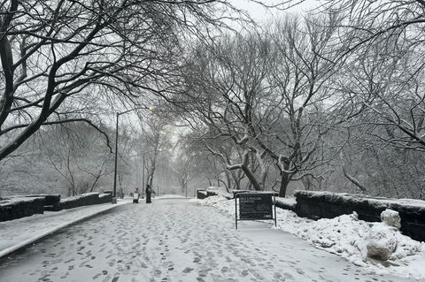 In New York legt der viele Schnee das öffentliche Leben lahm. Foto: Christina Horsten/dpa