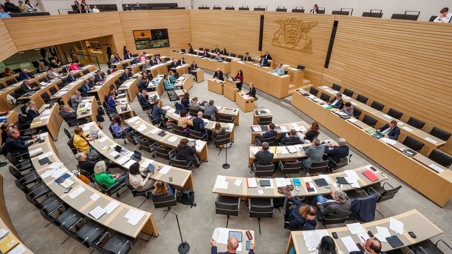 Landtagswahl: Linke deckeln eigenes Gehalt - So viel verdienen Abgeordnete