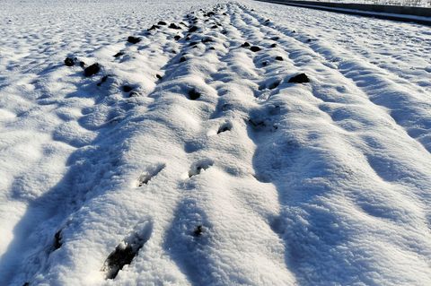 Schnee und Frost sorgen im Winter dafür, dass Pflanzen in die Winterruhe versetzt und die Bodenstruktur auf den landwirtschaftli