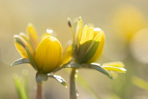 Manche Menschen reagieren stärker als andere auf Wetteränderungen. (Symbolbild) Foto: Sebastian Kahnert/dpa