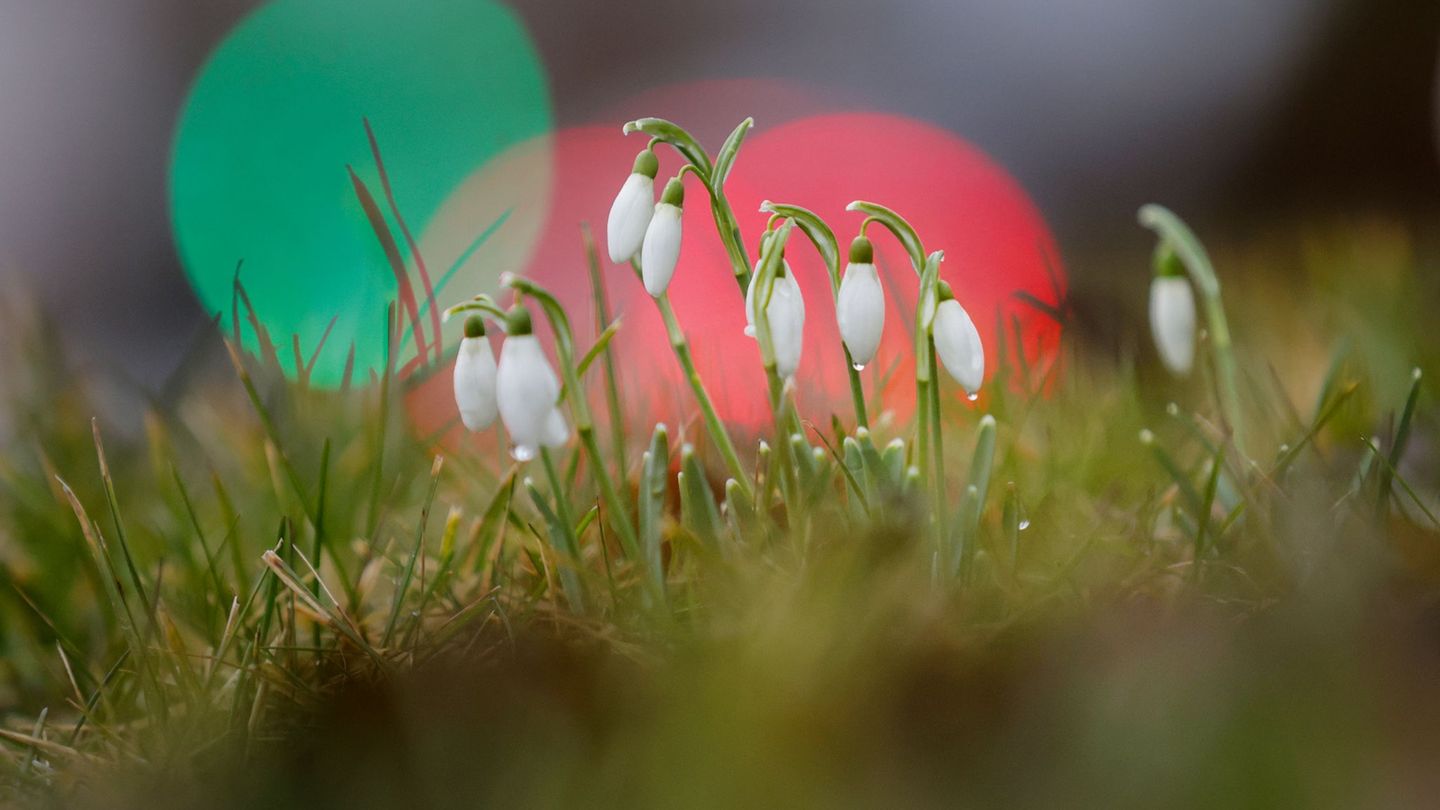 Es wird Frühling im Südwesten. Foto: Thomas Warnack/dpa