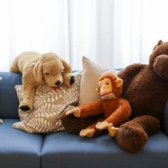 Tausende Kuscheltiere sollen gespendet werden. (Symbolbild) Foto: Jan Woitas/dpa