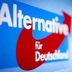 Die AfD steht derzeit wegen Beschäftigungsverhältnissen in der Kritik