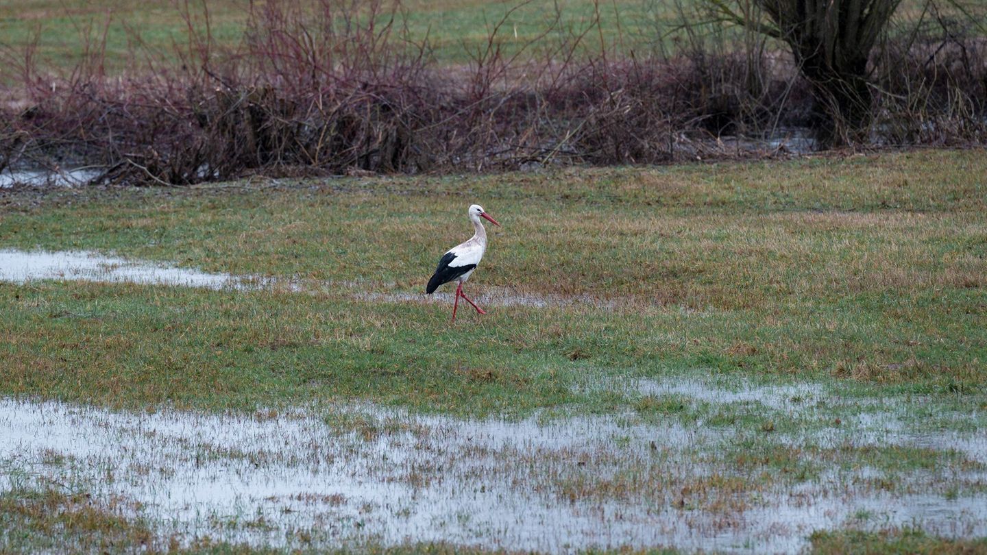 Wetter: Der Frühling naht in Bayern