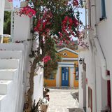 Eine Gasse in Paros, ein rot-blühender Baum lehnt dazwischen