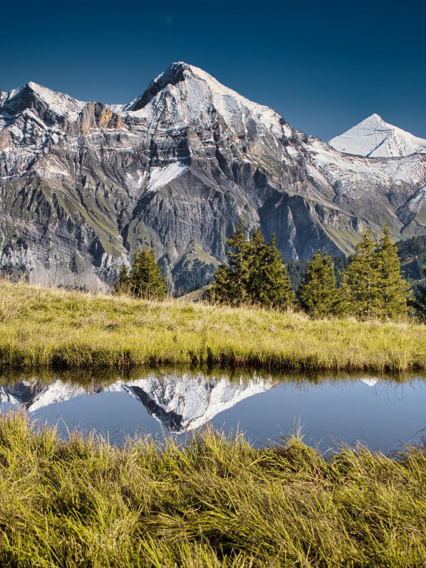 Simmental Kulisse mit Berglandschaft und einem kleinen See davor