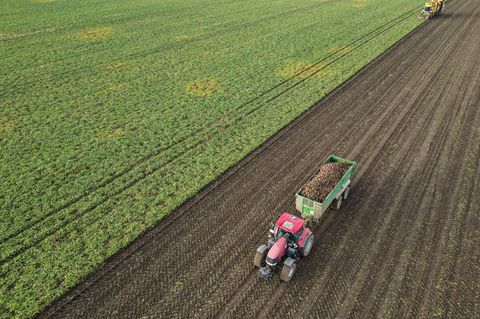 Auch Betriebe in Sachsen-Anhalt sollen sich an der Umfrage beteiligen. (Archivbild) Foto: Jan Woitas/dpa