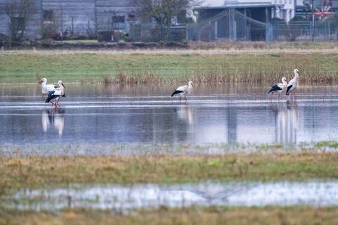 An eigenen Pegeln in Bayern ist die Meldestufe 3 überschritten. Foto: Pia Bayer/dpa