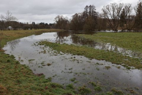 Im Dezember 2023 waren Wiesenflächen im Oberharz bei Tanne überspült, die Warme Bode hatte die Meldegrenze überschritten. (Archi