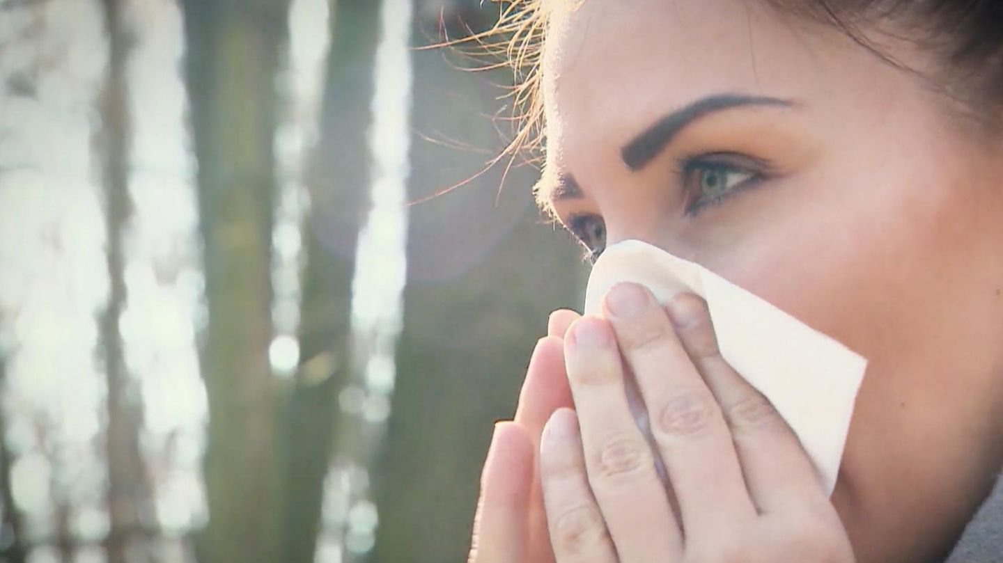 Allergy season shifts - | Which pollen is in the air when?
