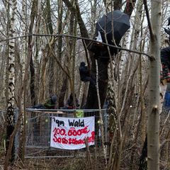 Aktivisten besetzten Bäume in dem Waldstück. Foto: Marcus Golejewski/dpa