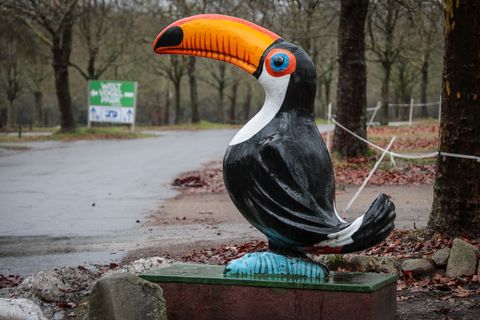 Der Vogelpark in Walsrode bleibt vorerst nach Ausbruch der Vogelgrippe für Besucher geschlossen. Foto: Focke Strangmann/dpa
