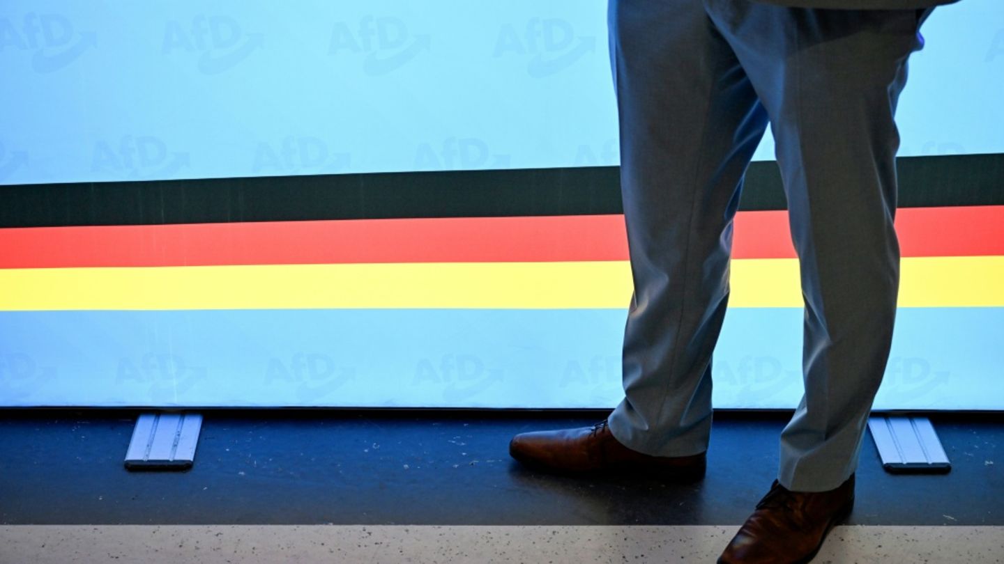 Wand mit AfD-Logos