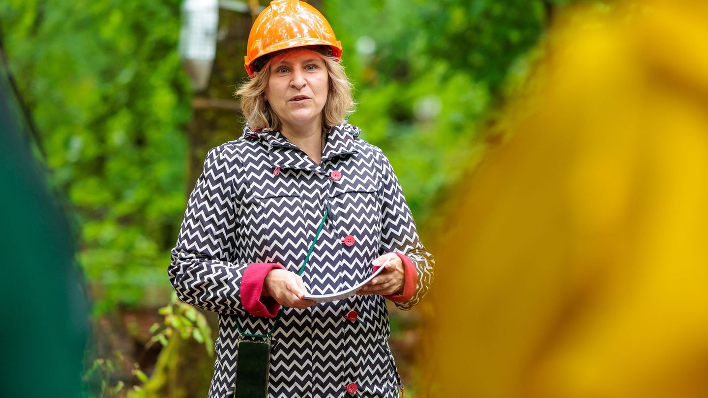 Ein Baum für jedes Neugeborene - Grünen-Spitzenkandidatin Katrin Eder stellt ein Aktionsprogramm für den Klima- und Naturschutz