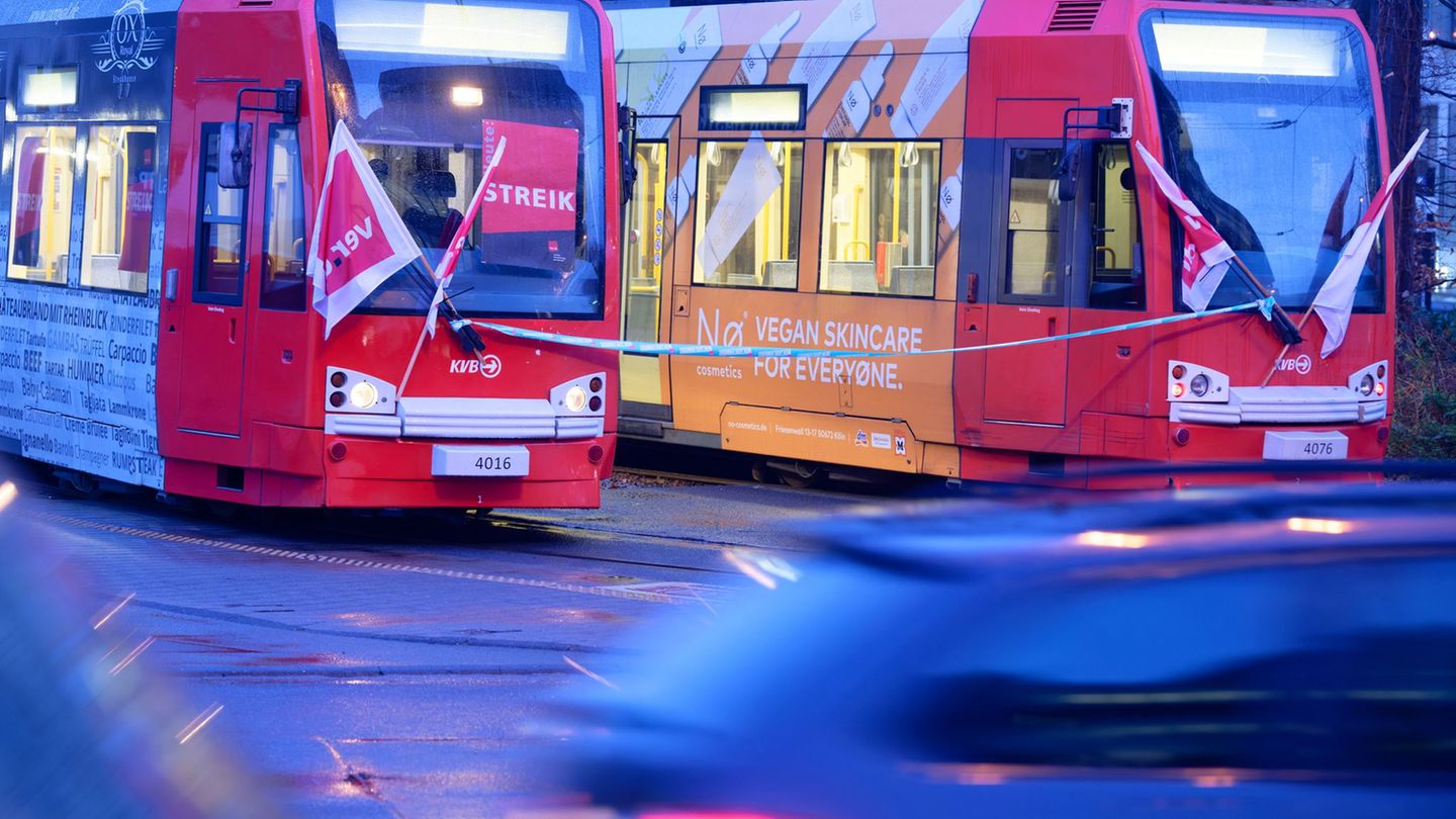 Streikbeflaggte Bahnen Anfang Februar. Foto: Henning Kaiser/dpa