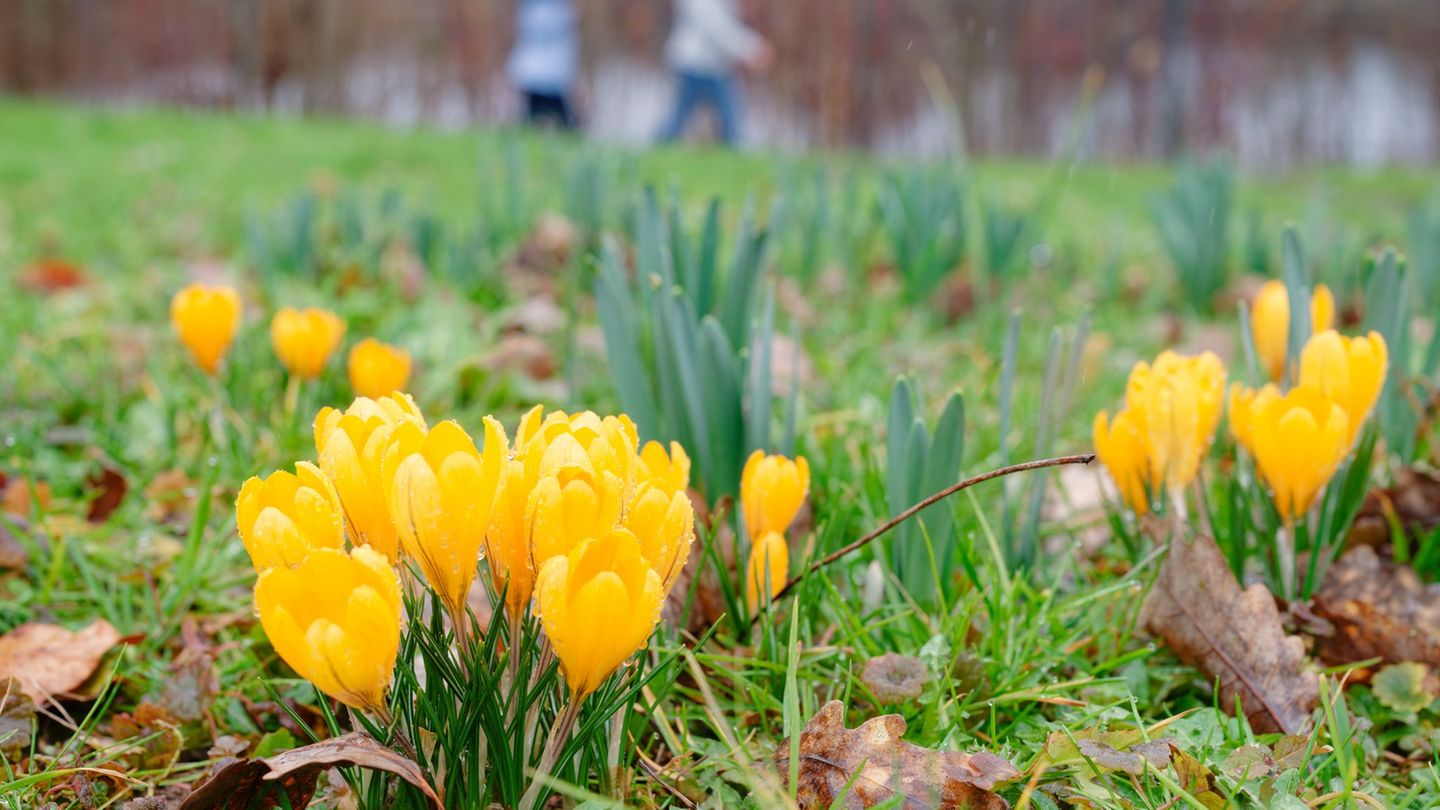 Wetter: Erste Frühlingsgefühle bei 13 bis 19 Grad